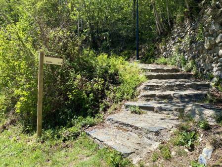 Camino de Planoles a Planès.