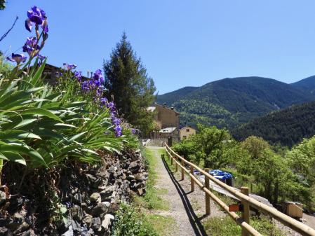 Camino de Planoles a Planès.