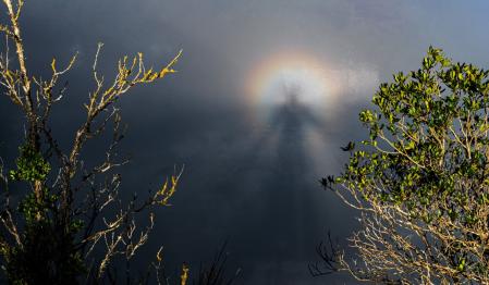 Espectro de Brocken.