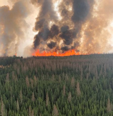 Las llamas afectan en varios puntos a las grandes masas forestales de coníferas de la Montañas Rocosas  .