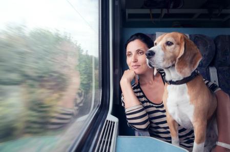 Viaja en tren con tu mascota