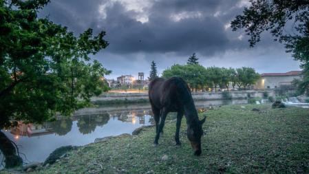 El Ter en Manlleu, tras las últimas lluvias de mayo.