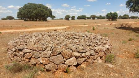 Majano refugio para conejos en los alrededores de la Laguna de Ruidera.