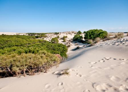 Parque Nacional de Doñana