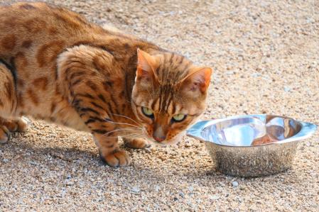 Salma comiendo en el monasterio de Pedralbes, en Barcelona, donde fue encontrada.