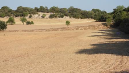 Solución al Reto visual con la posición del conejo señalizada.