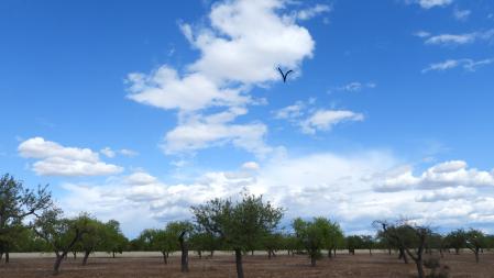 Solución del Reto visual de la letra V entre las nubes.