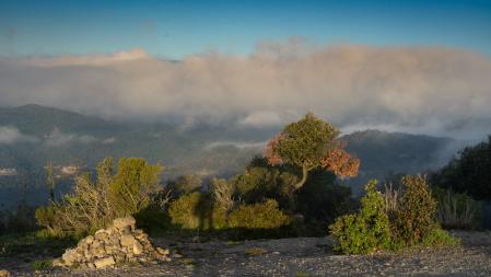Nieblas en torno a Sant Martí Xic.