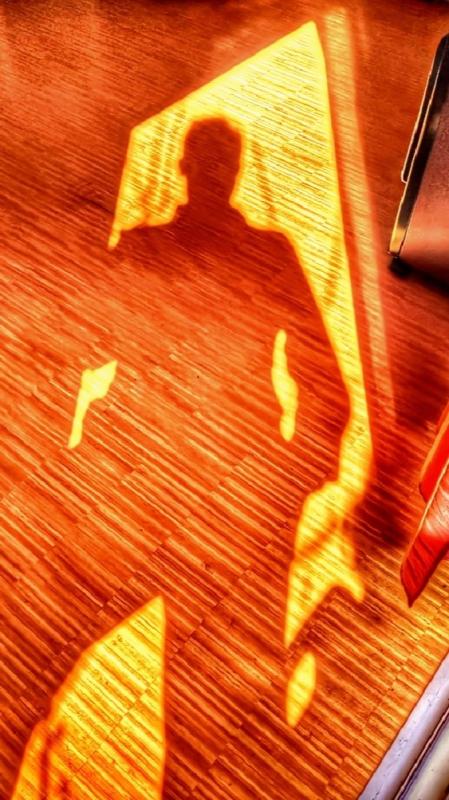 El autorretrato con teléfono móvil.