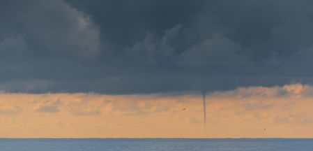 Mangas marinas en el mar de Alborán.