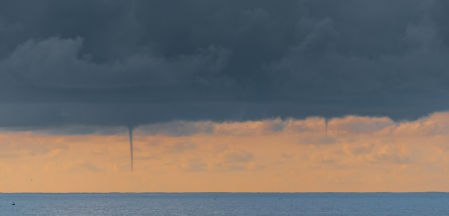Mangas marinas en el mar de Alborán.
