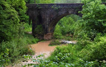 El Fluvià con las últimas lluvias de mayo.