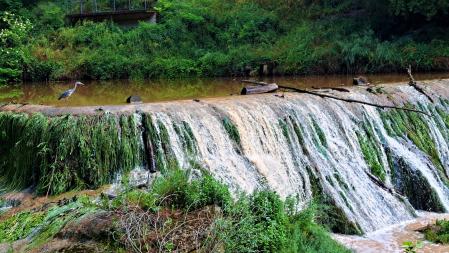 El  Fluvià, con las últimas lluvias.
