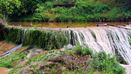 El Fluvià, con las últimas lluvias.