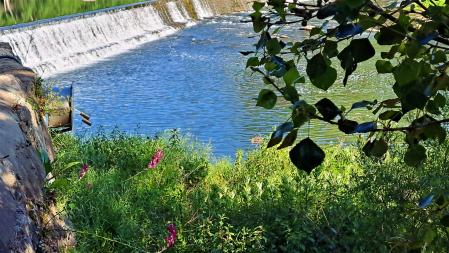 Siguiendo el Vora Ter.