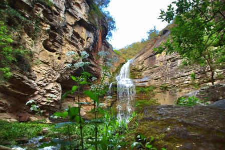 La cascada de La Foradada en Cantonigròs desde la vegetación que la rodea.