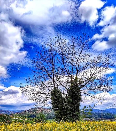 Primavera de las nubes en el Berguedà.
