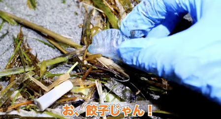 La carabela portuguesa es conocida como uno de los organismos marinos más peligrosos del mundo