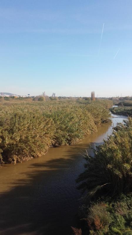 El Llobregat a su paso por Sant Feliu.