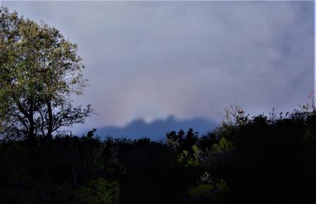Espectáculo de niebla divisado desde Sant Matí Xic.