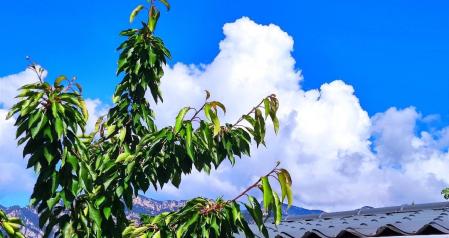 Nubes blancas anunciando la lluvia en el Berguedà.