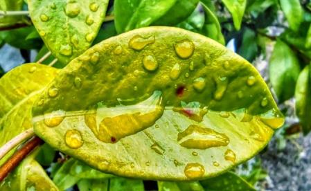 Después de la lluvia en Berga.