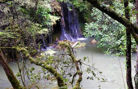 Gorg de la Garrotxa.