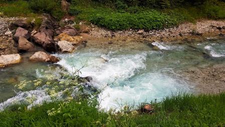 La riera de Cogolls.