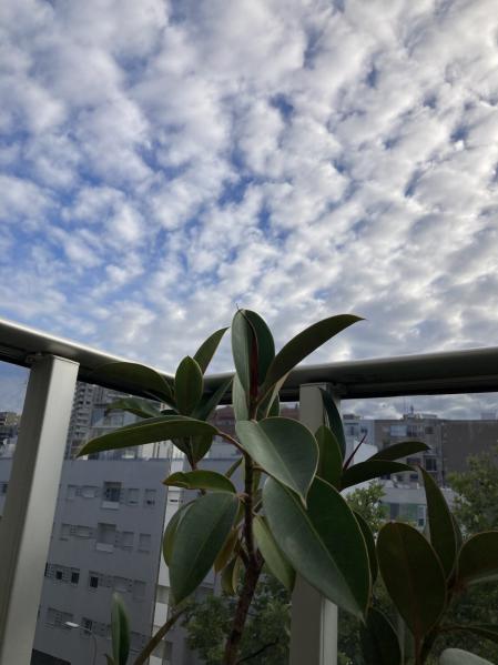 Nubes sobre Barcelona al amanecer.