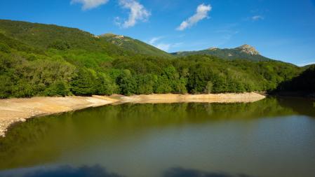 Pantano de Santa Fe.
