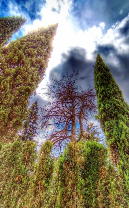 Parque de la biblioteca de Sallent.