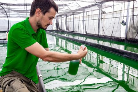 Joan Solé, de Organa Espirulina, junto a las piscinas donde cultiva esta microalga