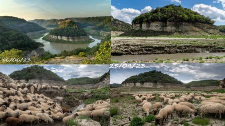 Comparativa de imágenes del meandro del Ter en abril y en junio.