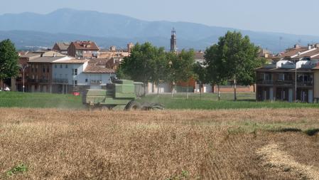 La siega en Manlleu al comienzo del verano.