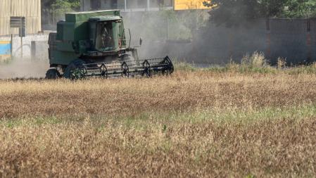 La siega en Manlleu al comienzo del verano.