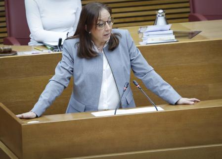 La diputada de Vox, Llanos Massó.