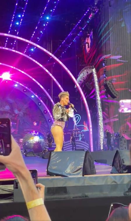 Pink con la bolsa de cenizas sobre el escenario de Hyde Park