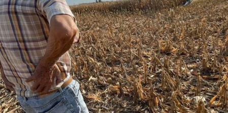 El abuelo Oscar en el control de la cosecha