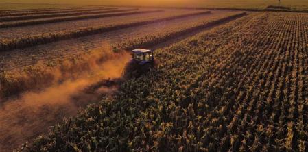 Volteando un maíz con rastra de discos rápida, que no rindió nada. “En el campo no todo es color de rosa”, dice Mateo.
