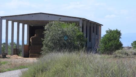 Solución al Reto visual del gorrión.