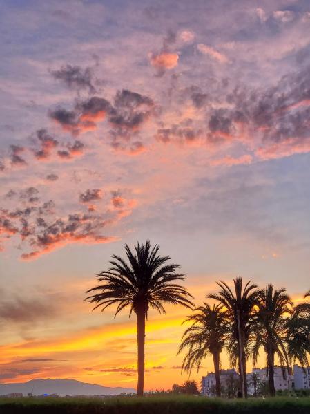 Puesta de sol veraniega en la playa de la Punta de Roses.