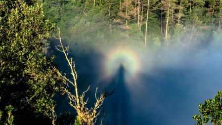 Espectro de Brocken.