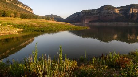 Amanecer en el pantano de Sau en un ambiente calimoso.