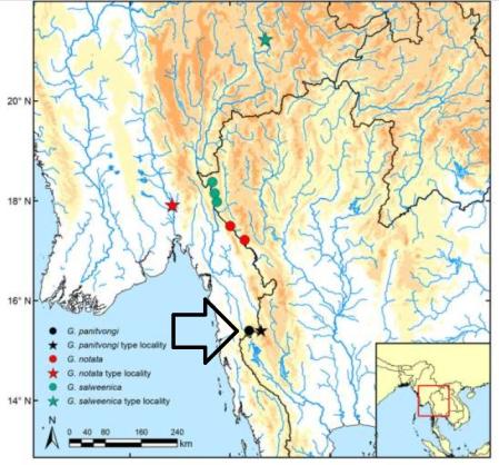 Zona en la que se localizaron los ejemplares silvestres de la nueva especie (flecha y punto negro) y otras localizaciones de peces garra de especies similares  .
