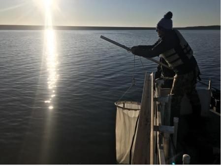 Rebecca Kessler tomando muestras en el lago Clinton  .