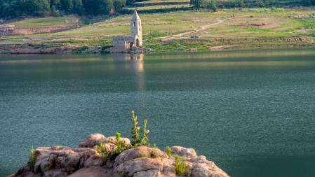 Verano en el pantano de Sau.