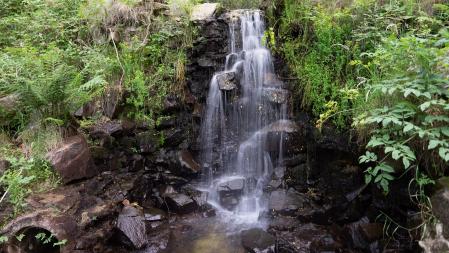 Riera de Santa Fe, en julio.
