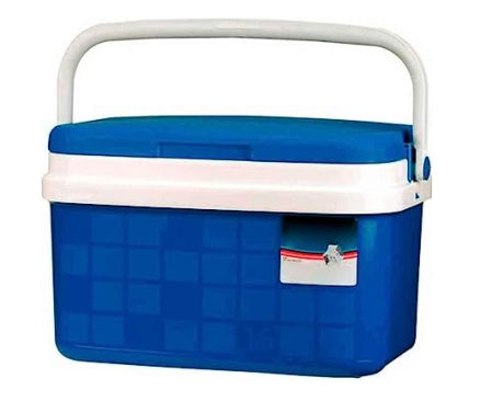 Tradineur - Nevera rígida portátil con asa (16L)