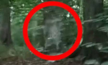 Captación del momento