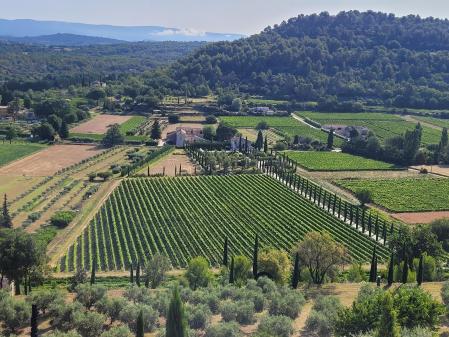 Paisaje de la Provenza.